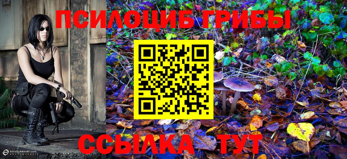 Псилоцибиновые грибы Psilocybe  Галлюциногенные грибы прущие грибы  Еманжелинск  Вход с VPN 