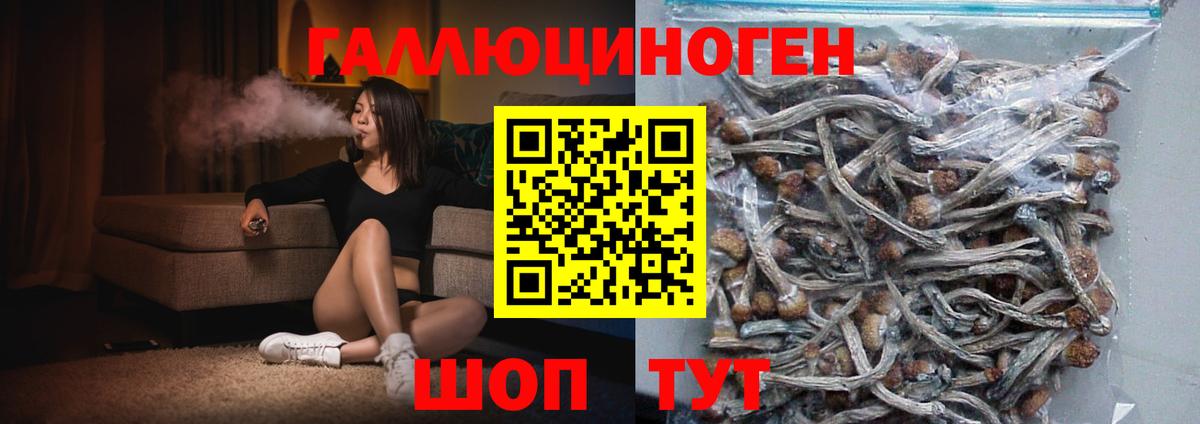 Псилоцибиновые грибы Magic Shrooms Еманжелинск